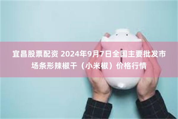 宜昌股票配资 2024年9月7日全国主要批发市场条形辣椒干（小米椒）价格行情