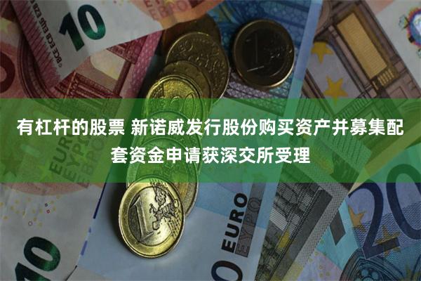 有杠杆的股票 新诺威发行股份购买资产并募集配套资金申请获深交所受理