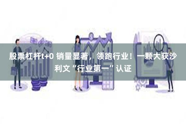 股票杠杆t+0 销量显著，领跑行业！一颗大获沙利文“行业第一”认证