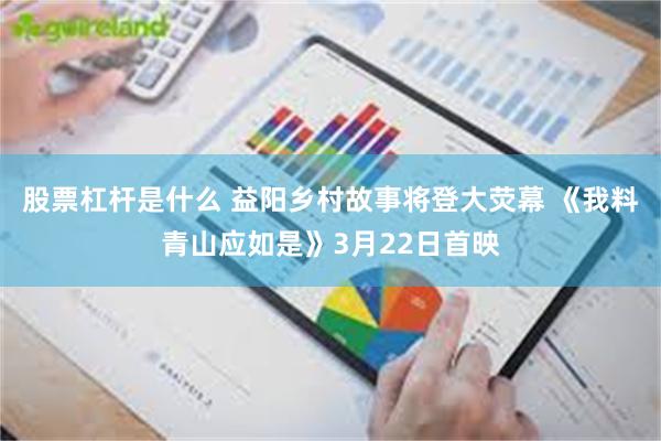 股票杠杆是什么 益阳乡村故事将登大荧幕 《我料青山应如是》3月22日首映