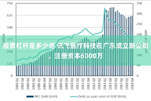 股票杠杆是多少倍 讯飞医疗科技在广东成立新公司，注册资本6000万