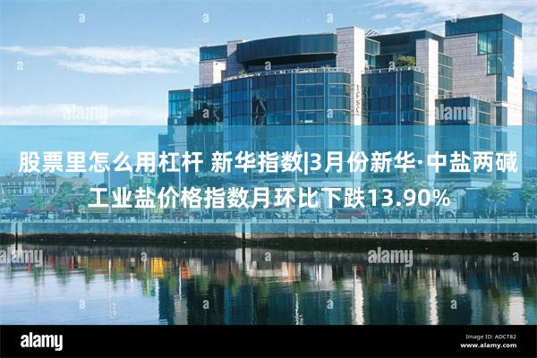 股票里怎么用杠杆 新华指数|3月份新华·中盐两碱工业盐价格指数月环比下跌13.90%