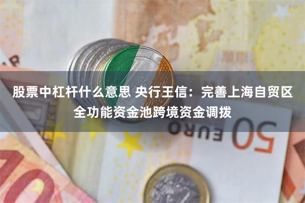股票中杠杆什么意思 央行王信：完善上海自贸区全功能资金池跨境资金调拨