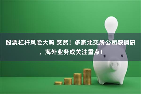 股票杠杆风险大吗 突然！多家北交所公司获调研，海外业务成关注重点！