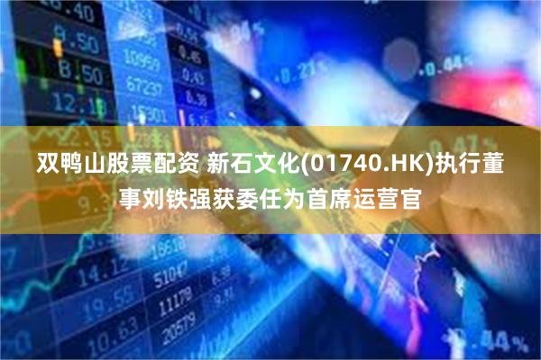 双鸭山股票配资 新石文化(01740.HK)执行董事刘铁强获委任为首席运营官