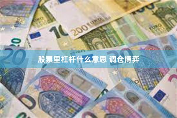 股票里杠杆什么意思 调仓博弈